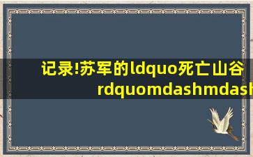 记录!苏军的“死亡山谷”——苏联入侵阿富汗的一次重大损失