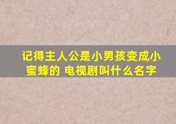 记得主人公是小男孩变成小蜜蜂的 电视剧叫什么名字