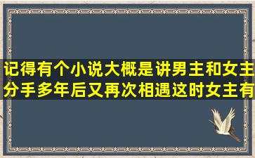 记得有个小说,大概是讲男主和女主分手多年后,又再次相遇,这时女主有...