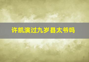 许凯演过九岁县太爷吗(