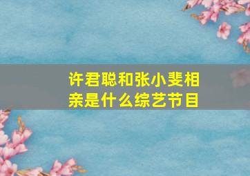 许君聪和张小斐相亲是什么综艺节目