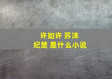 许如许 苏沫 纪楚 是什么小说