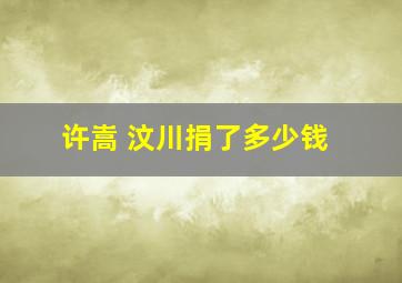 许嵩 汶川捐了多少钱