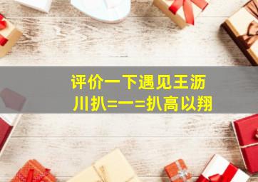 评价一下《遇见王沥川》。扒=一=扒高以翔