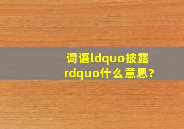 词语“披露”什么意思?