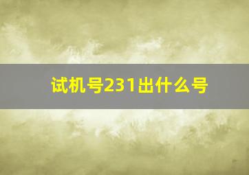 试机号231出什么号