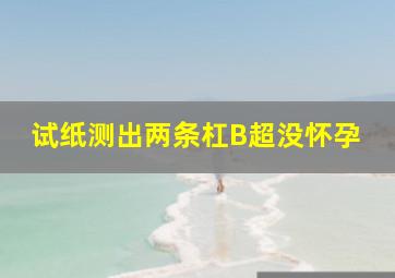 试纸测出两条杠,B超没怀孕