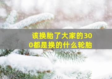 该换胎了,大家的300都是换的什么轮胎