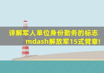 详解军人单位、身份、勤务的标志—解放军15式臂章!