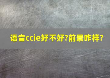 语音ccie好不好?前景咋样?