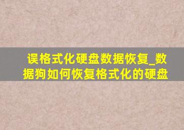 误格式化硬盘数据恢复_数据狗如何恢复格式化的硬盘