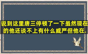 说到这里唐三停顿了一下虽然现在的他还谈不上有什么威严但他在...