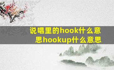 说唱里的hook什么意思(hookup什么意思