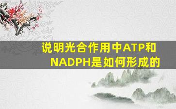 说明光合作用中ATP和NADPH是如何形成的(