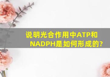 说明光合作用中ATP和NADPH是如何形成的?