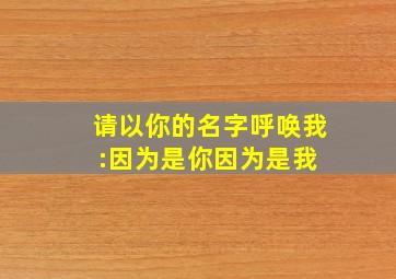 请以你的名字呼唤我:因为是你,因为是我 