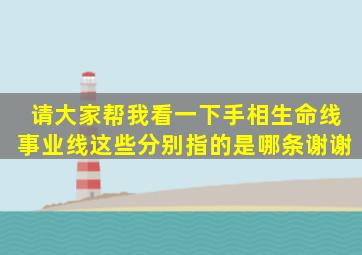 请大家帮我看一下手相,生命线事业线这些分别指的是哪条,谢谢