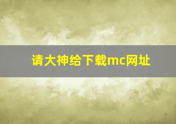 请大神给下载mc网址