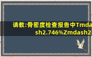 请教:骨密度检查报告中,T—2.7(46%),Z—2.1(36%)是什么意思?