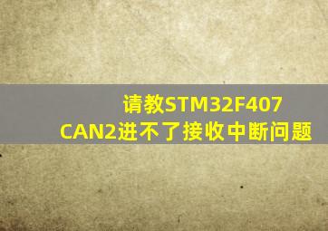 请教STM32F407 CAN2进不了接收中断问题