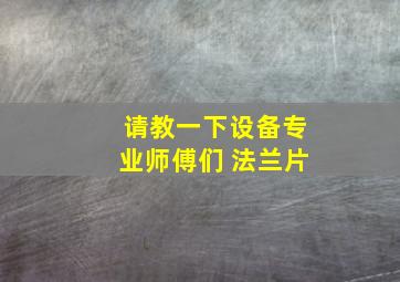 请教一下设备专业师傅们 法兰片