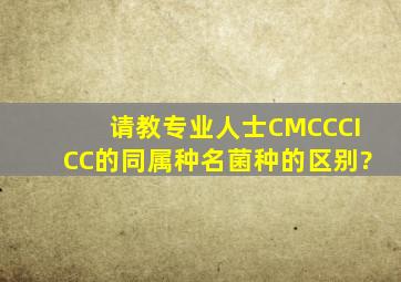请教专业人士CMCC、CICC的同属种名菌种的区别?