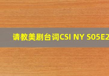 请教美剧台词CSI NY S05E20