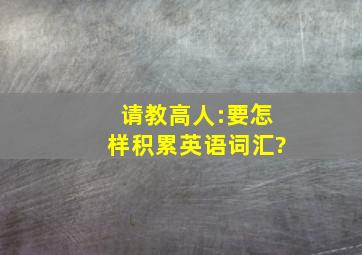 请教高人:要怎样积累英语词汇?