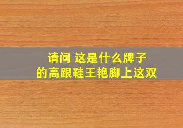 请问 这是什么牌子的高跟鞋,王艳脚上这双