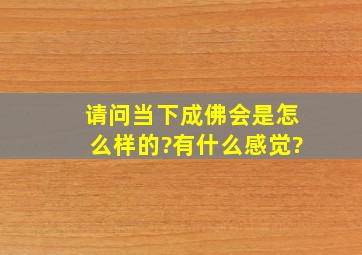 请问,当下成佛,会是怎么样的?有什么感觉?