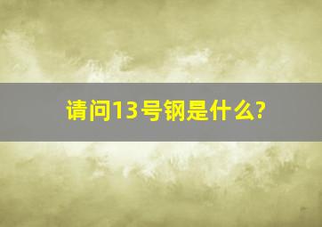 请问13号钢是什么?