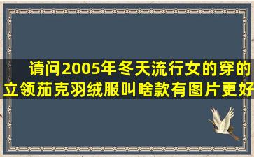 请问2005年冬天流行女的穿的立领茄克羽绒服叫啥款有图片更好,