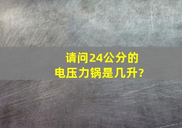 请问24公分的电压力锅是几升?