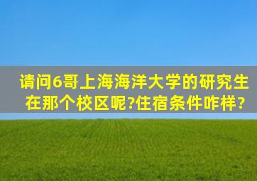 请问6哥,上海海洋大学的研究生在那个校区呢?住宿条件咋样?