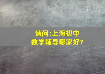 请问:上海初中数学辅导哪家好?