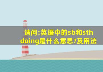 请问:英语中的sb和sth、doing是什么意思?及用法