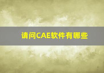 请问CAE软件有哪些(