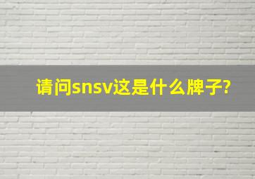 请问snsv这是什么牌子?