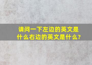 请问一下,左边的英文是什么,右边的英文是什么?