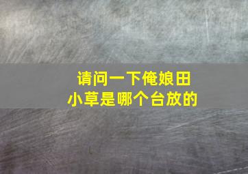 请问一下俺娘田小草是哪个台放的