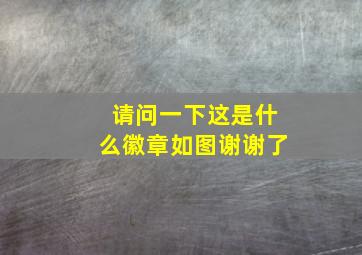 请问一下这是什么徽章,如图谢谢了