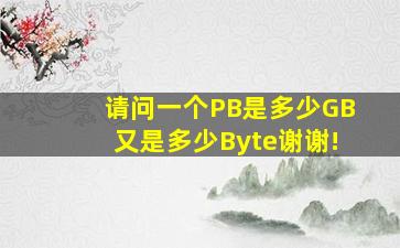 请问一个PB是多少GB又是多少Byte(谢谢!