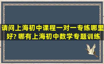 请问上海初中课程一对一专练哪里好? 哪有上海初中数学专题训练?