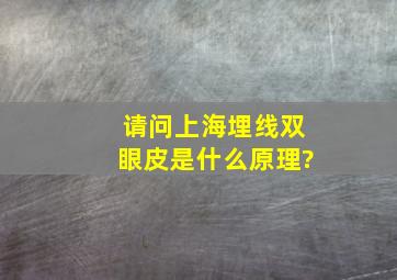 请问上海埋线双眼皮是什么原理?