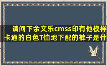 请问下余文乐cmss印有他模样卡通的白色T恤地下配的裤子是什么牌子...