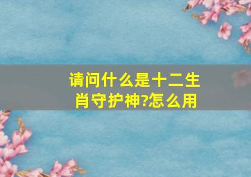 请问什么是十二生肖守护神?怎么用