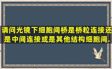 请问光镜下细胞间桥是桥粒连接还是中间连接或是其他结构(细胞间...