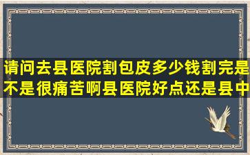 请问去县医院割包皮多少钱割完是不是很痛苦啊县医院好点还是县中