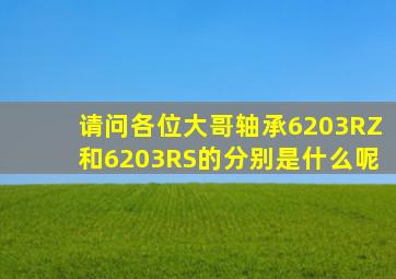 请问各位大哥轴承6203RZ和6203RS的分别是什么呢