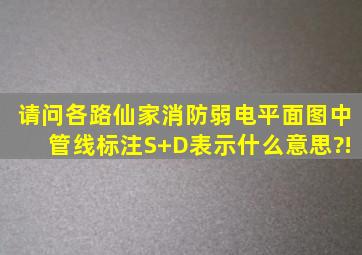 请问各路仙家,消防弱电平面图中管线标注S+D表示什么意思?!